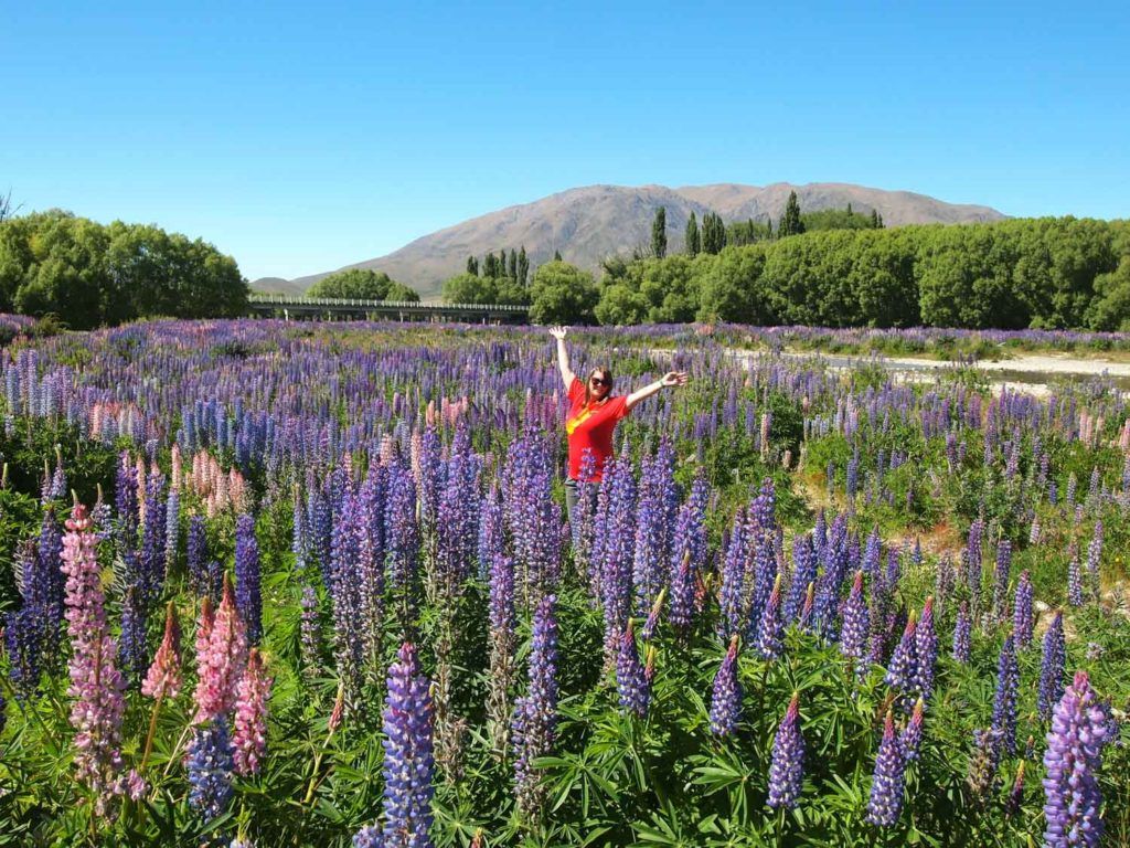 Amanda in NZ