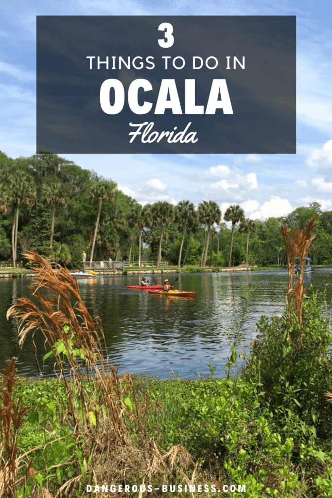 Things to do in Ocala, Florida
