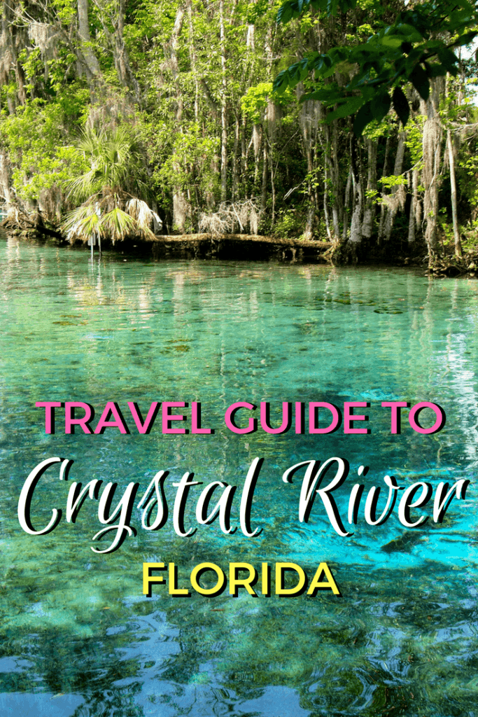 Things to do in Crystal River, Florida
