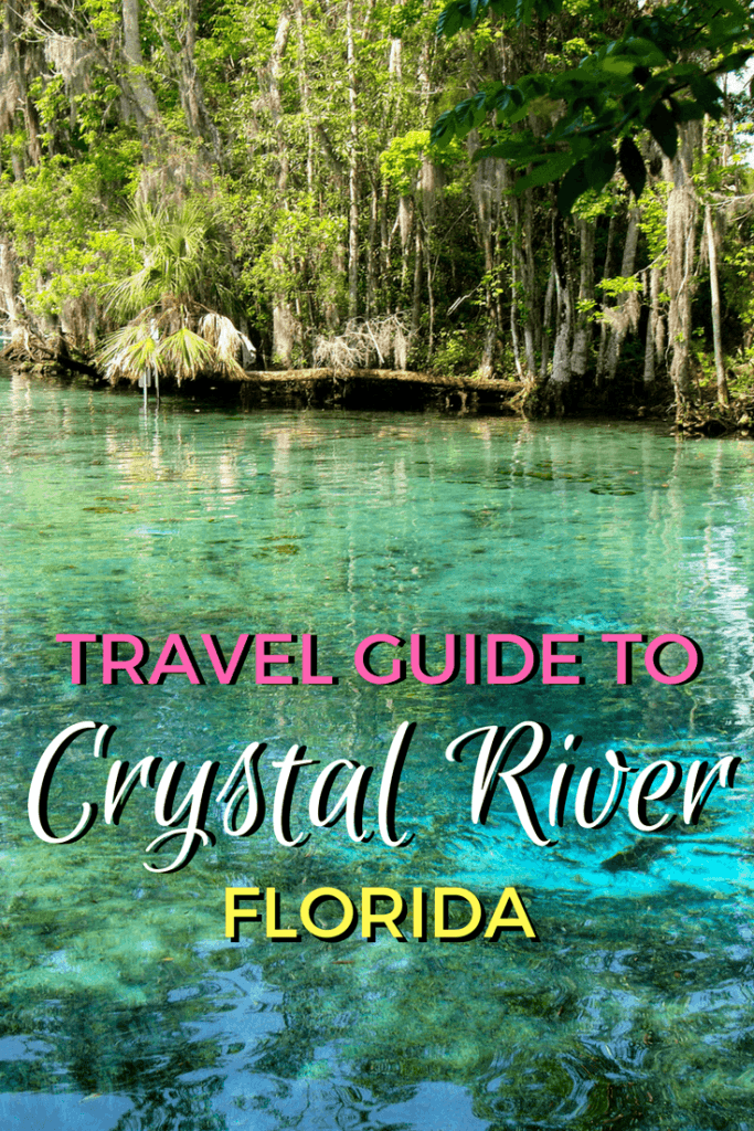 Cosas que hacer en Crystal River, Florida