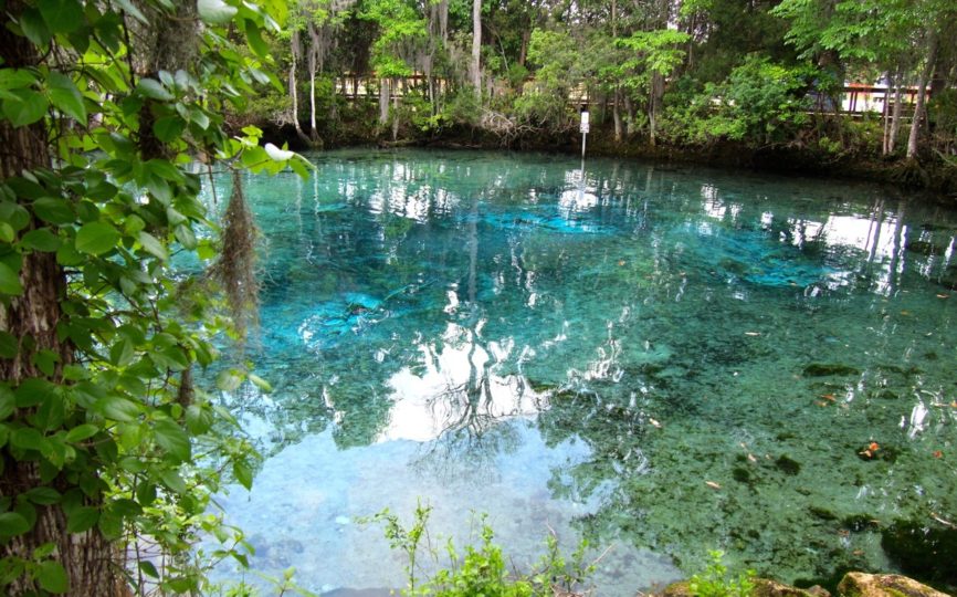 5 Awesome Things to do in Crystal River, Florida