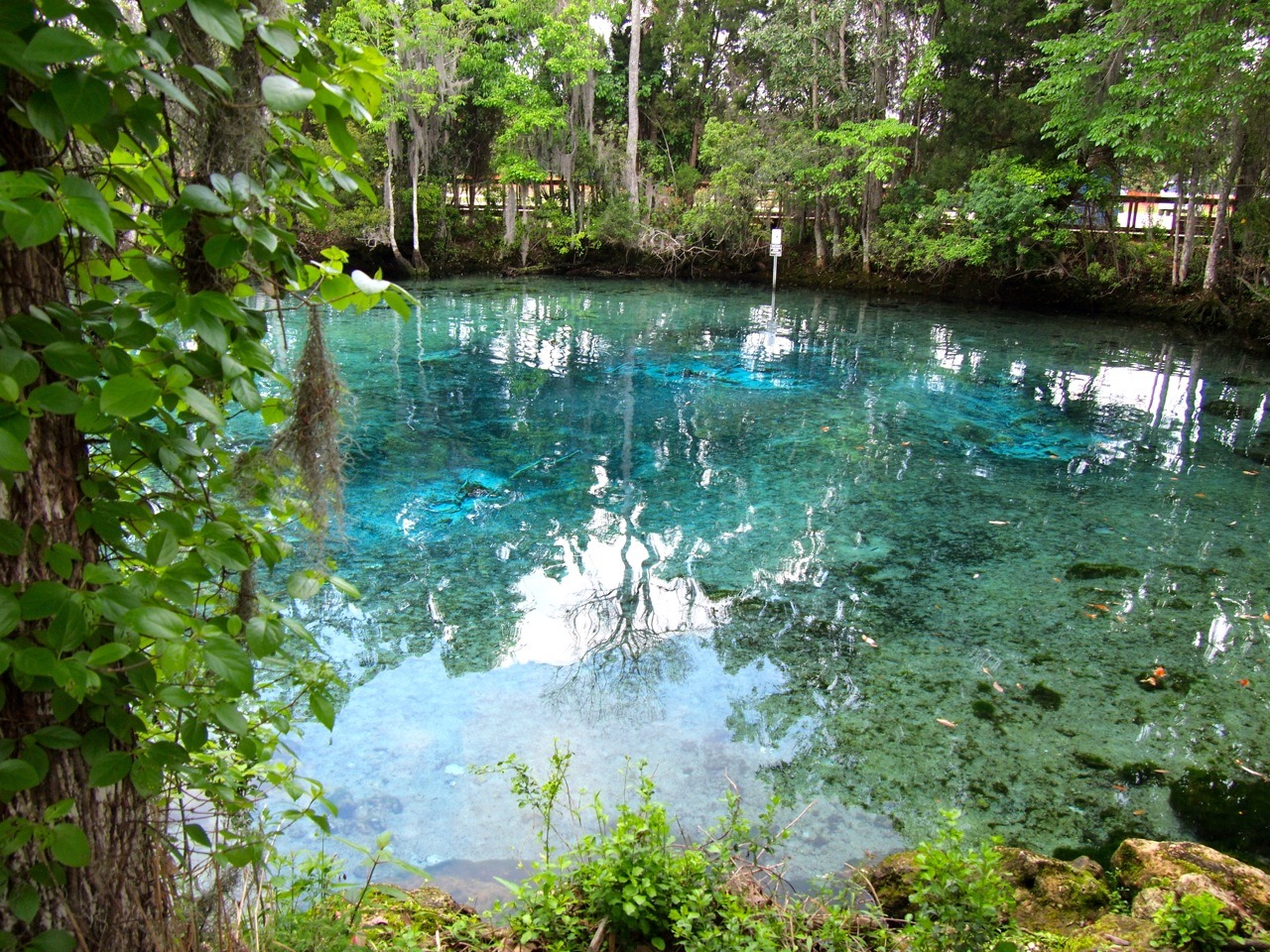 Three Sisters Springs in Crystal River, Florida