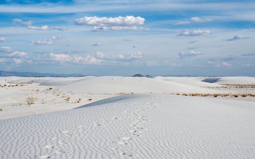 Everything You Need to Know About Visiting White Sands National Park