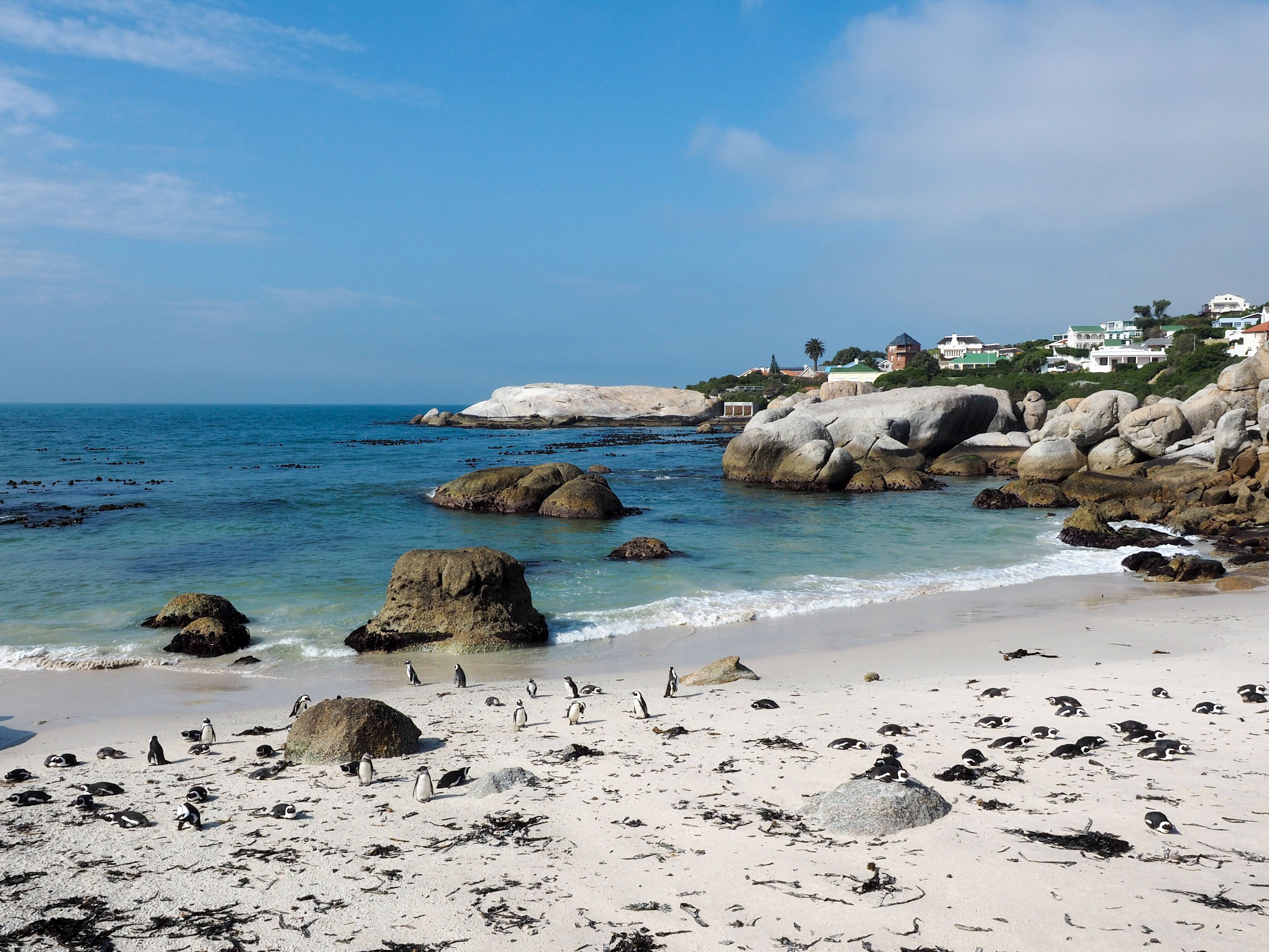 Boulders Beach in South Africa