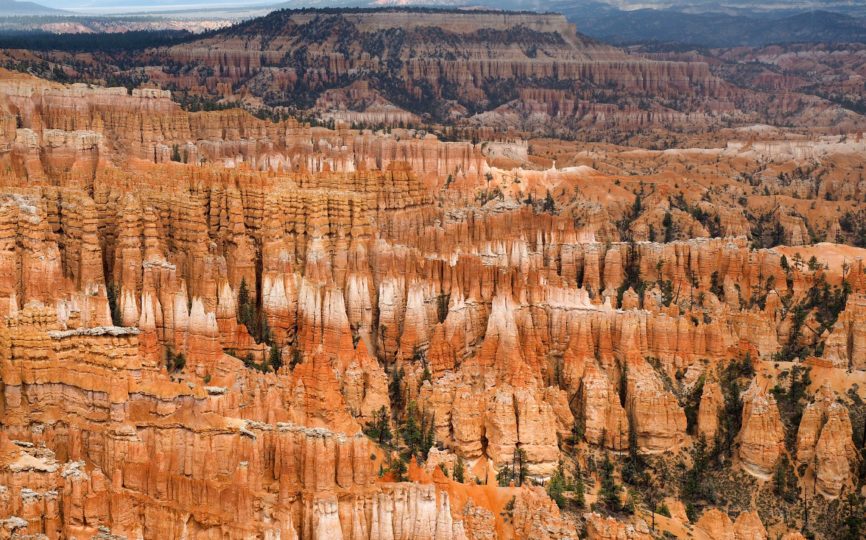 A Foggy, Soggy Day at Bryce Canyon National Park