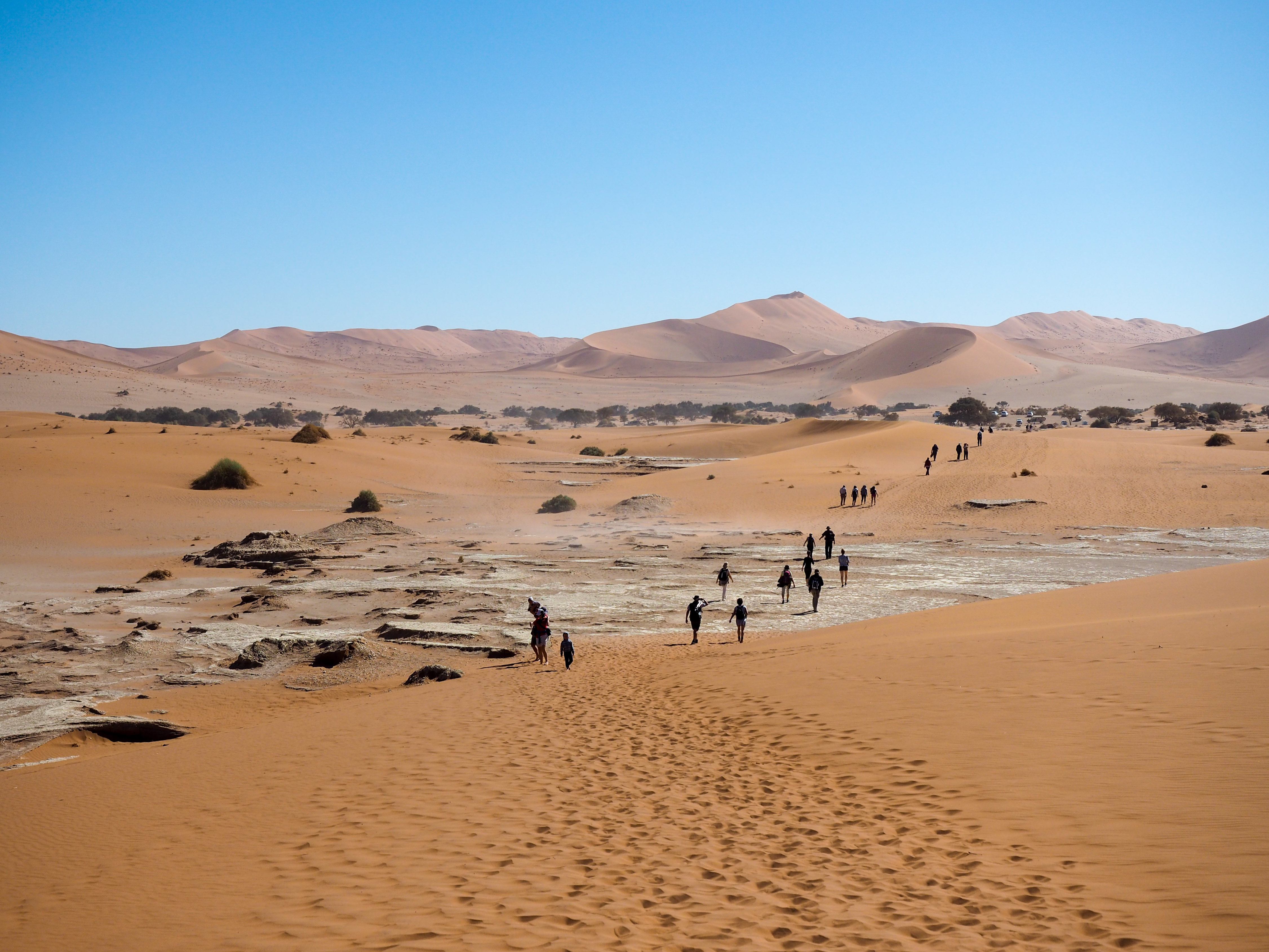 Namib Desert in Africa