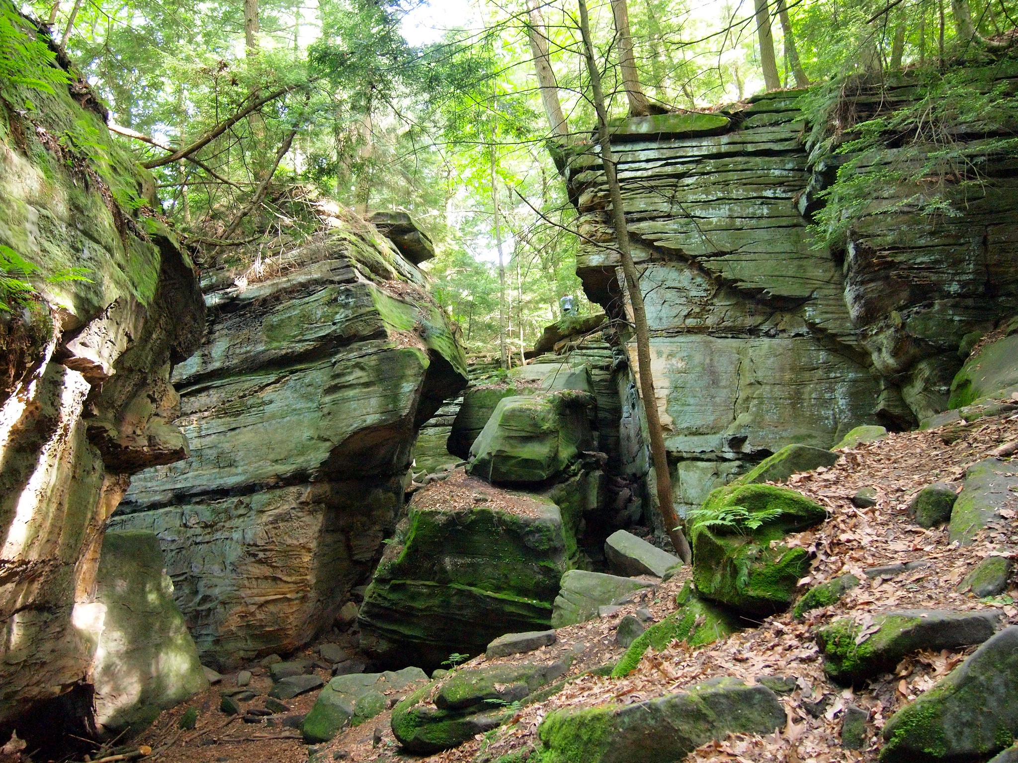 Cuyahoga Valley National Park in Ohio