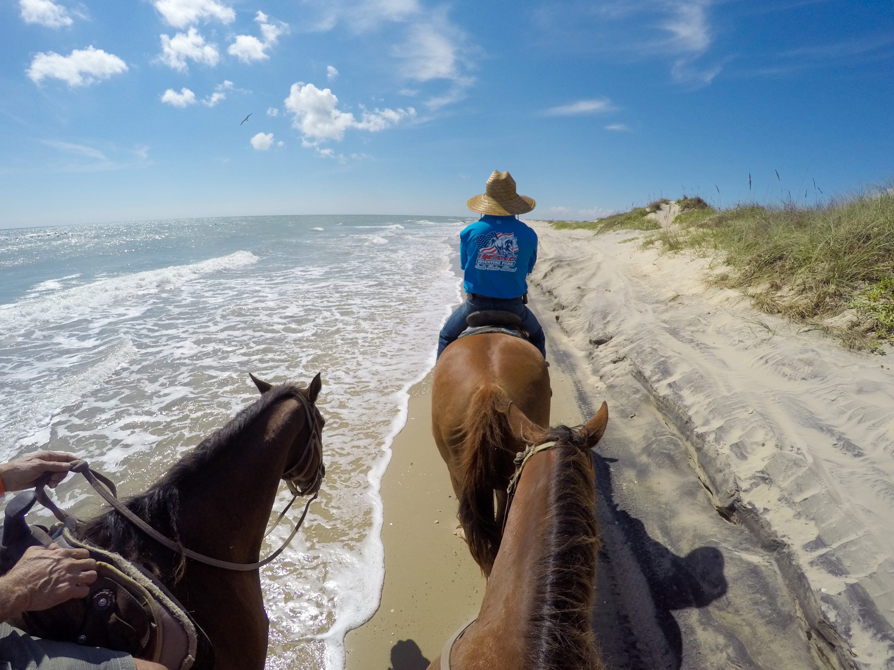 south padre island food truck permit