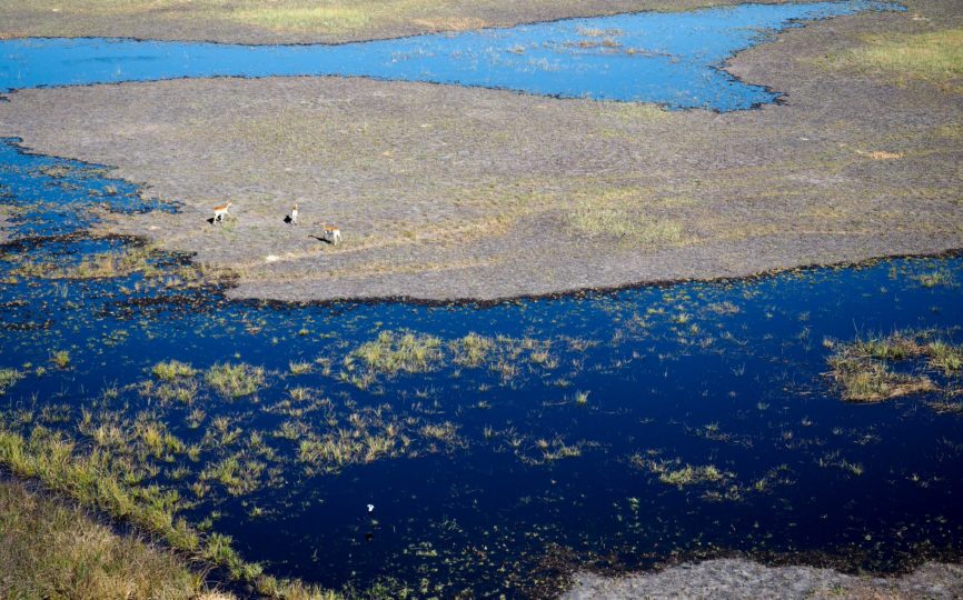 The Okavango Delta Three Ways