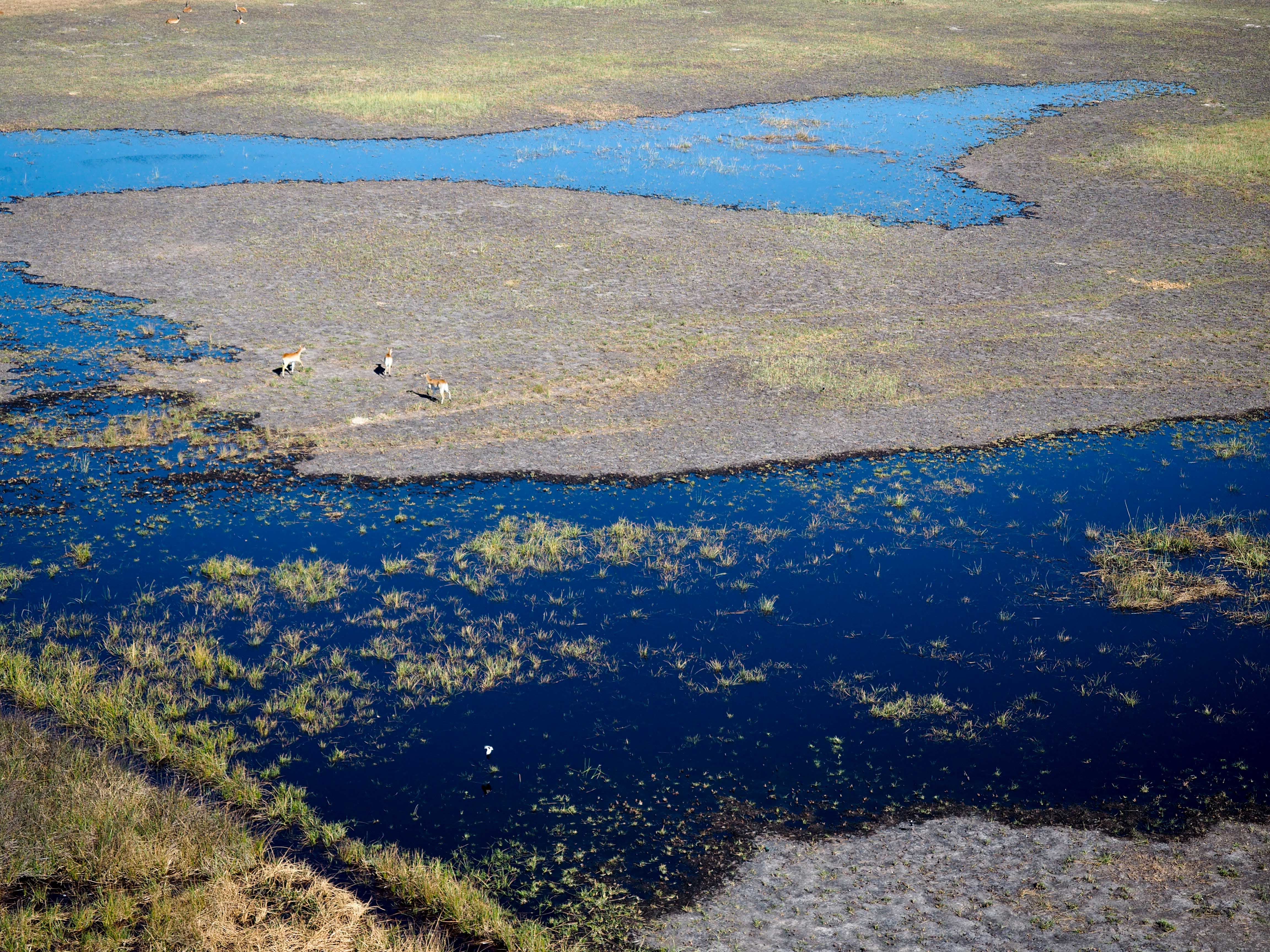 Visiting the Okavango Delta in Botswana