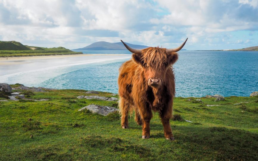 Is the Isle of Lewis and Harris Scotland’s Best-Kept Secret? (Things to Do + Why to Visit)