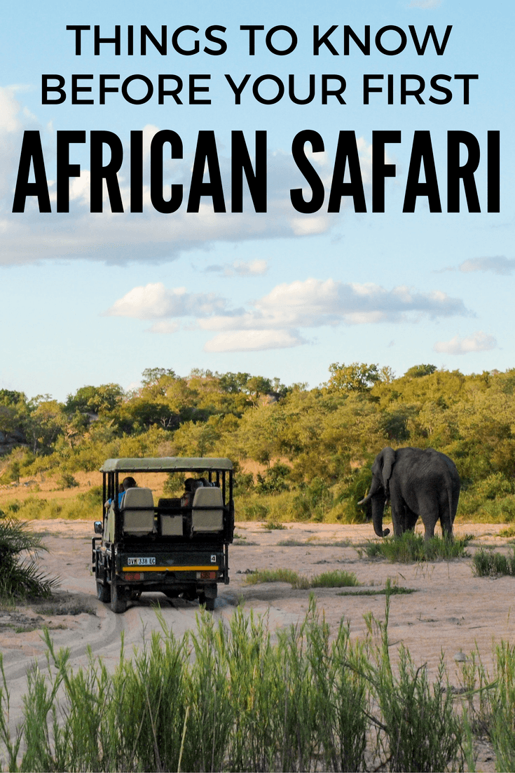 Things to know before your first African safari