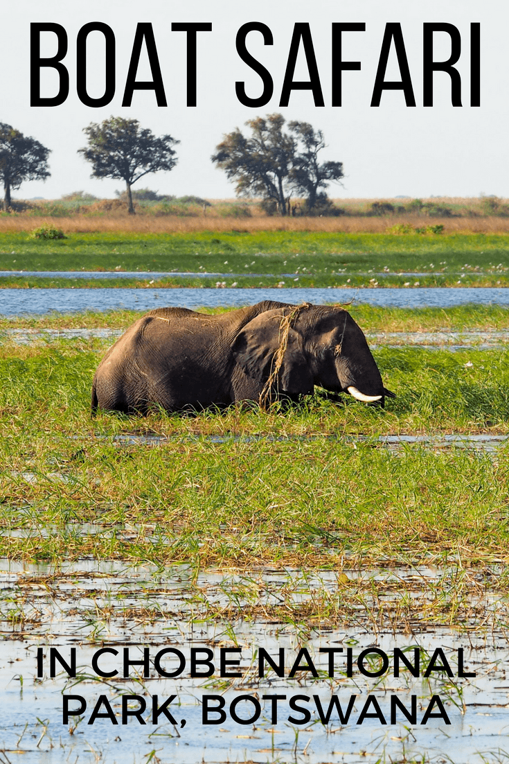 Going on safari in Chobe National Park in Botswana