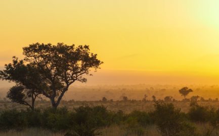 South Africa sunrise