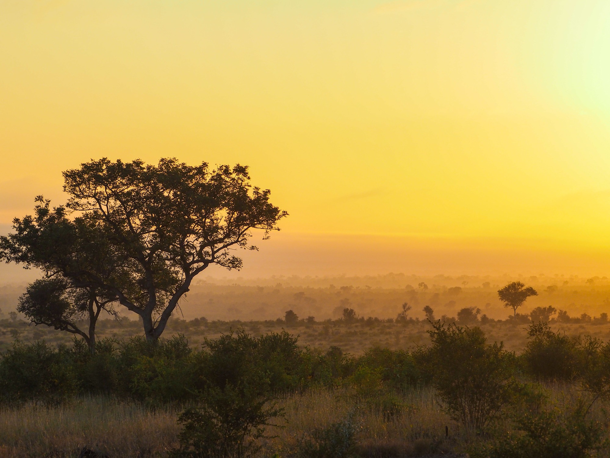South Africa sunrise