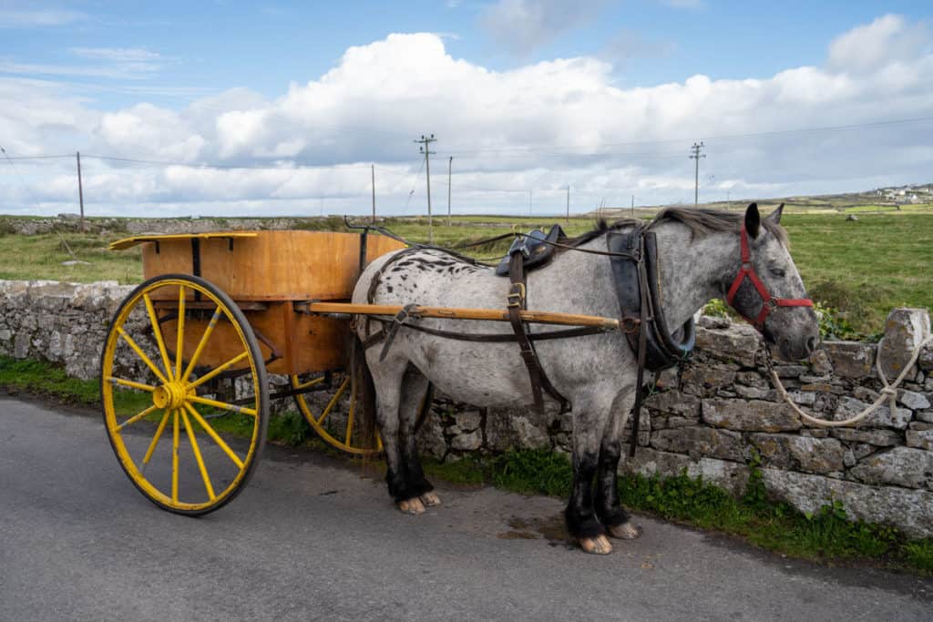 Horse and cart on Inishmore