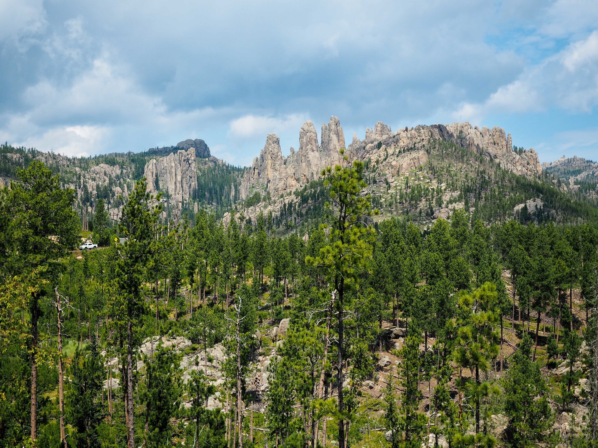 Custer State Park in South Dakota