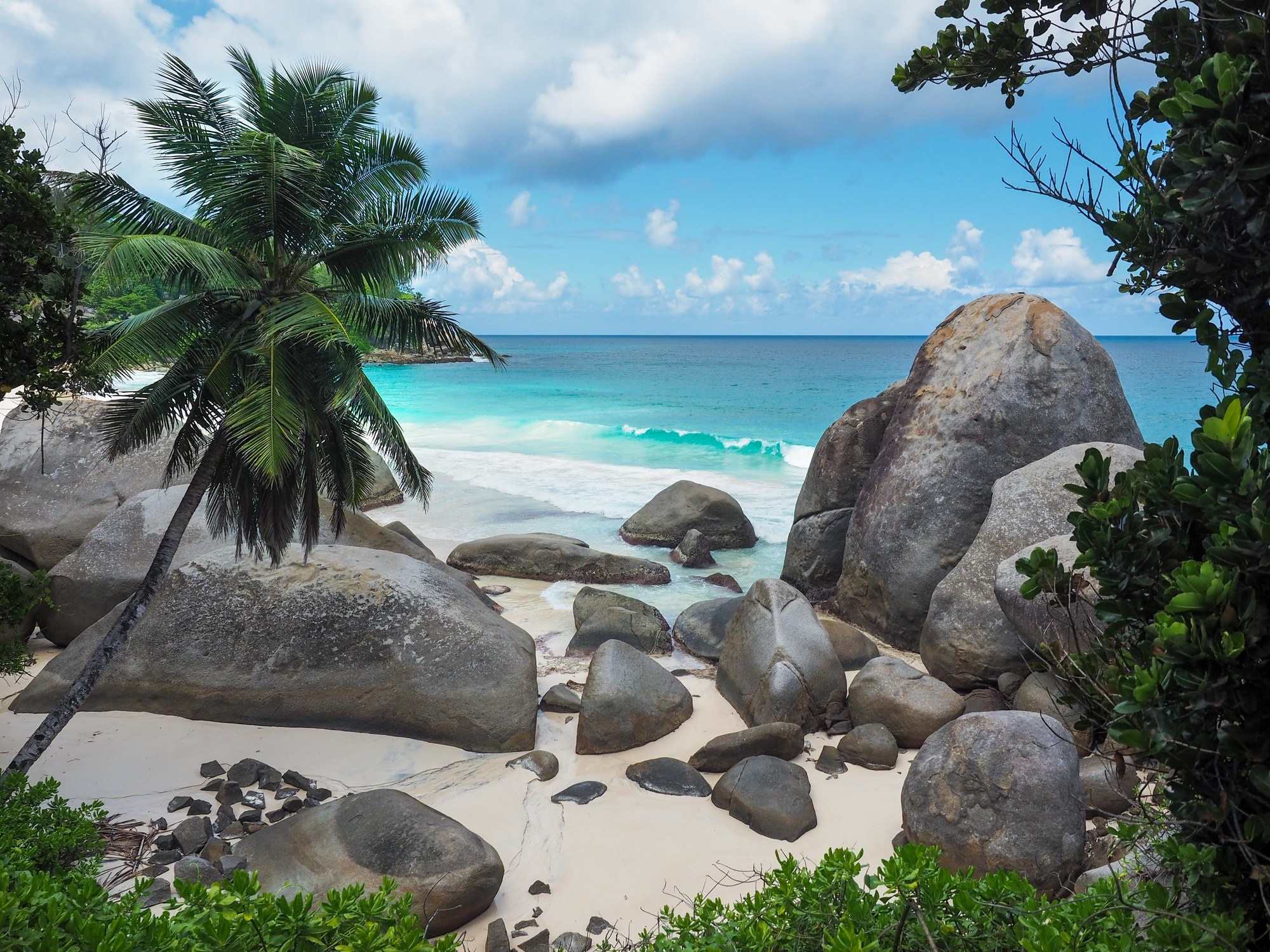 Beach in the Seychelles