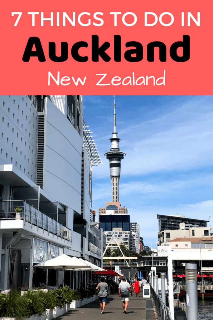 7 of the Best Things to Do in Auckland A FirstTimer