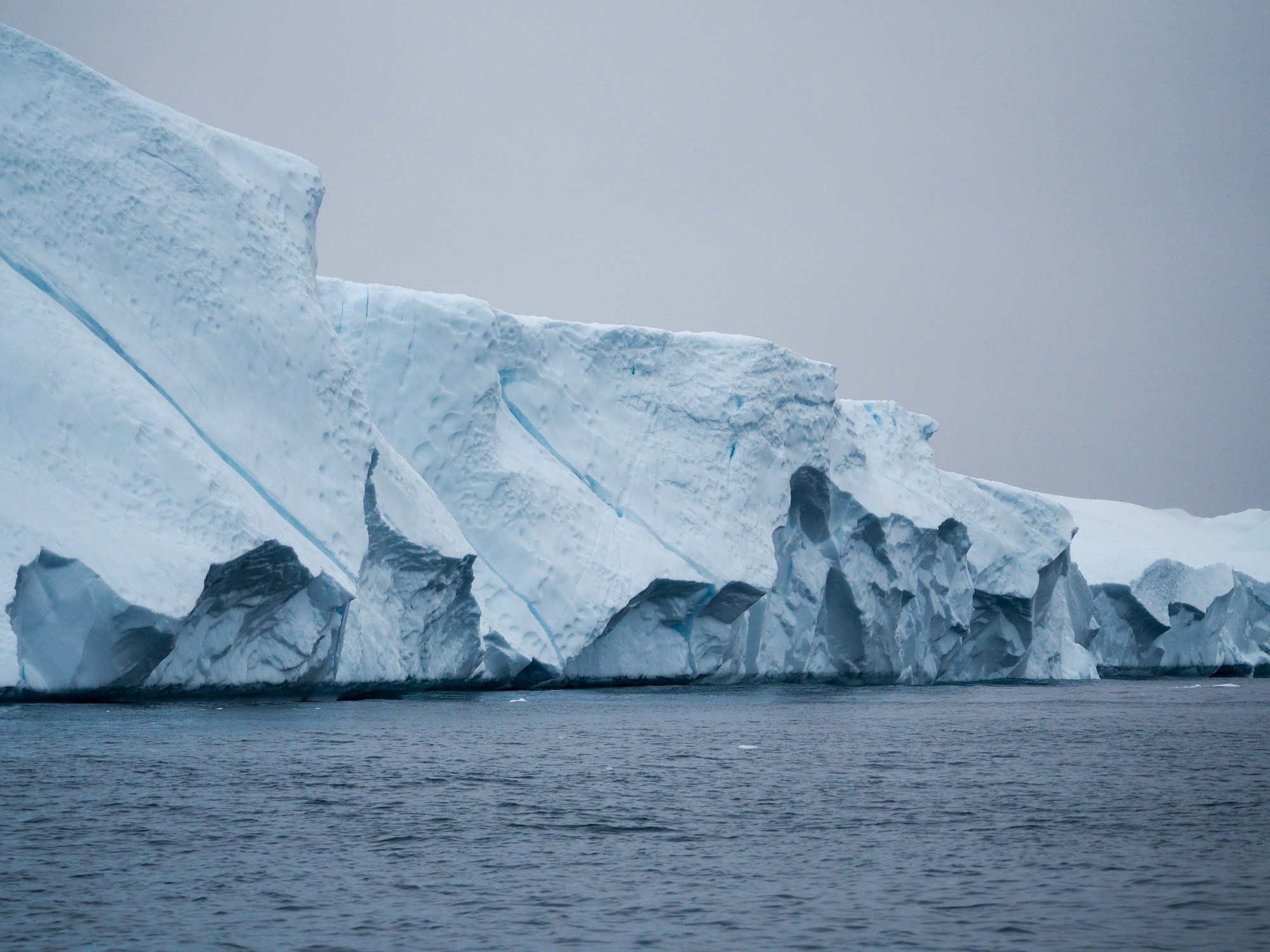 Icebergs in Greenland