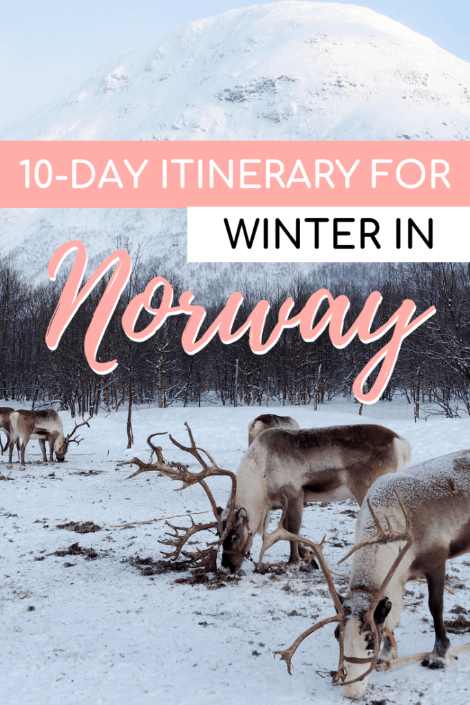 10-Day Itinerary for Norway in Winter