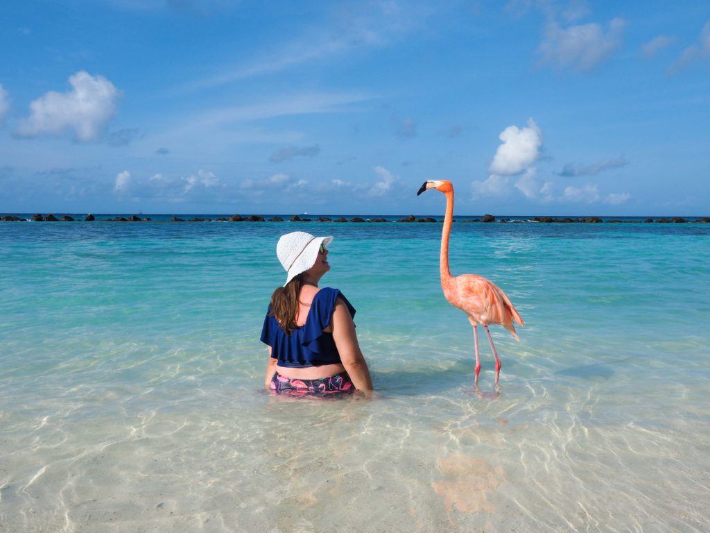 Flamingo Beach in Aruba