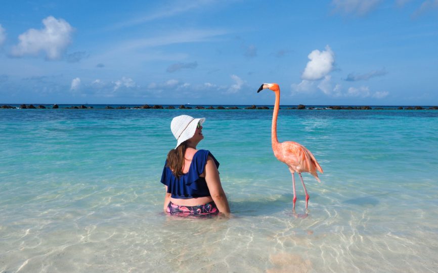 How to Visit Flamingo Island in Aruba? Stay at the Renaissance Resort