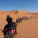Camels, Dunes, and Drums: An Overnight Trip into the Sahara Desert