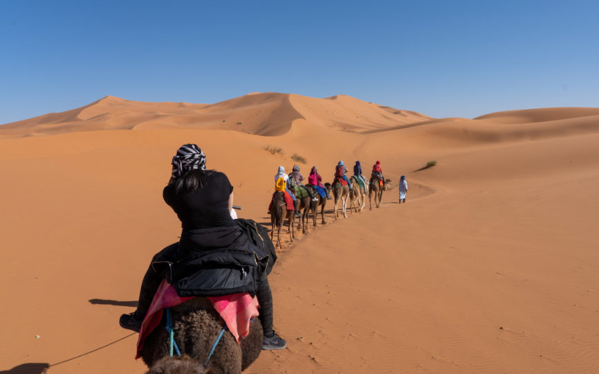 Camels, Dunes, and Drums: An Overnight Trip into the Sahara Desert