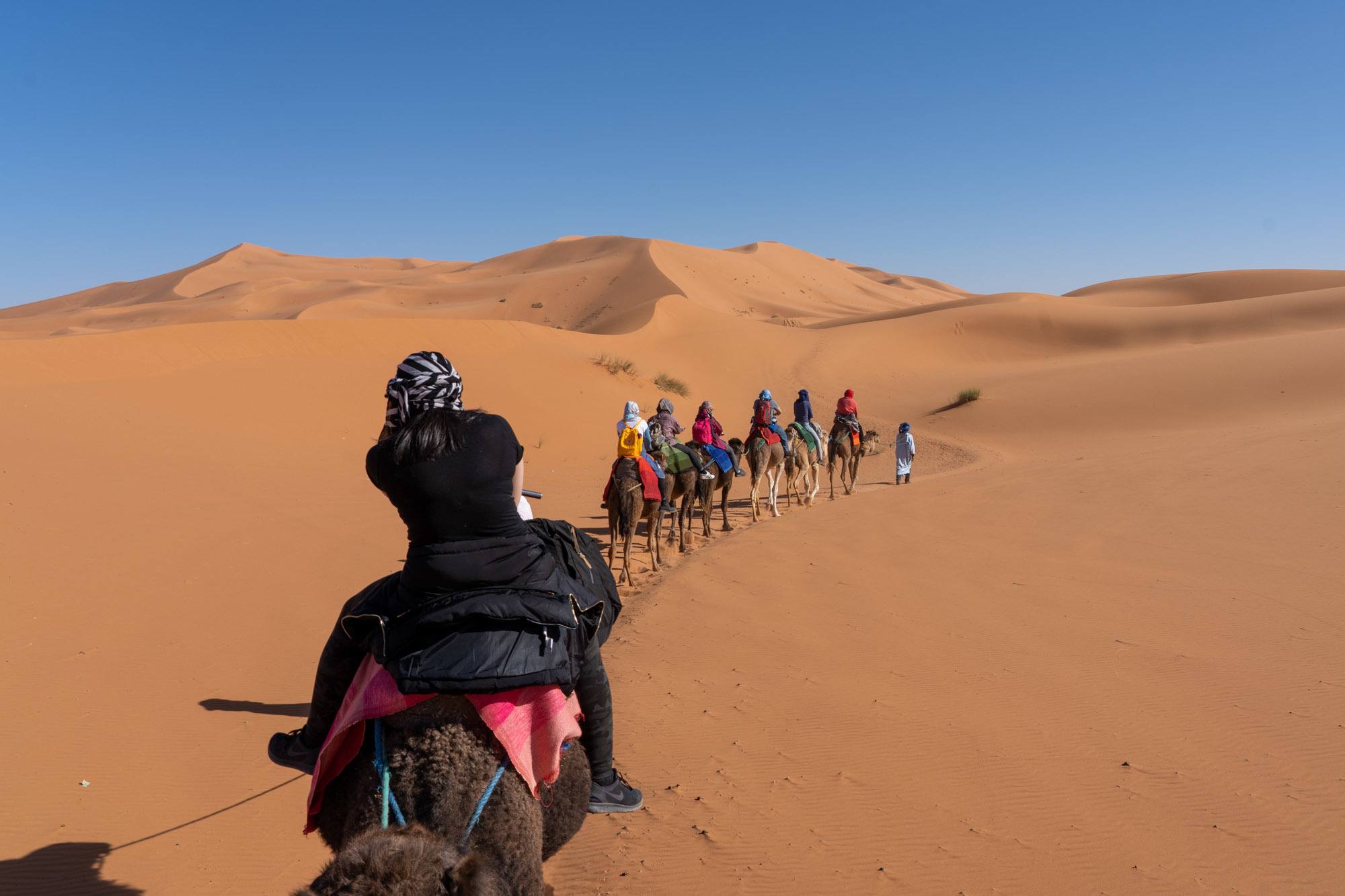 best sahara tours