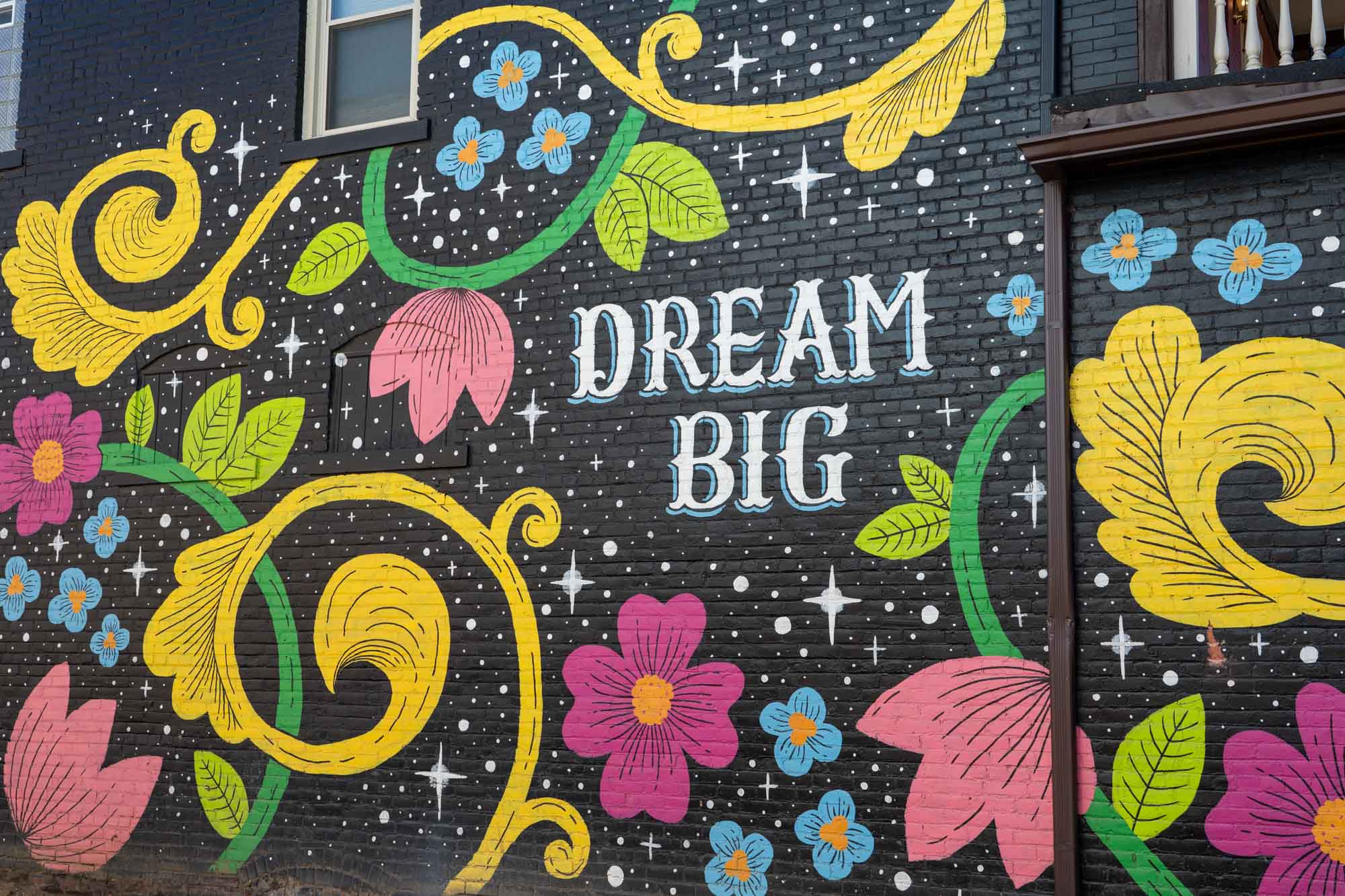 Dream big mural
