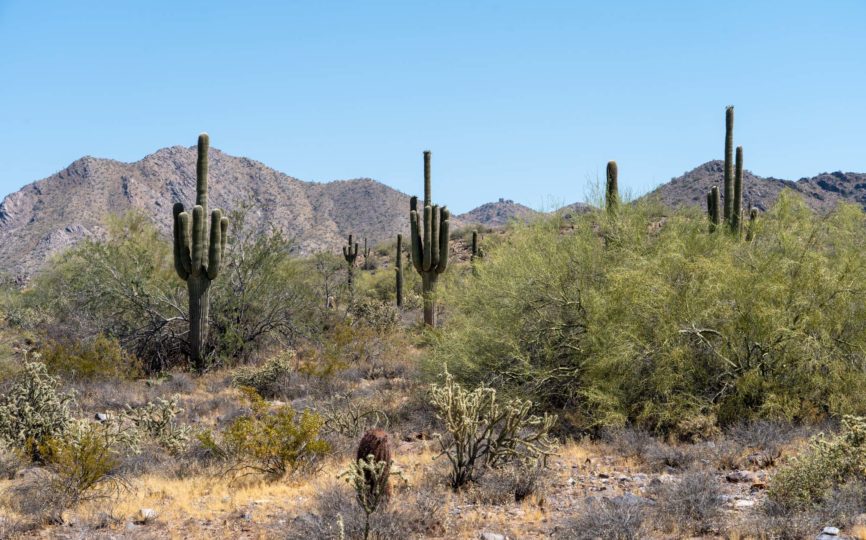 7 Reasons You Should Put Scottsdale, Arizona on Your Must-Visit List