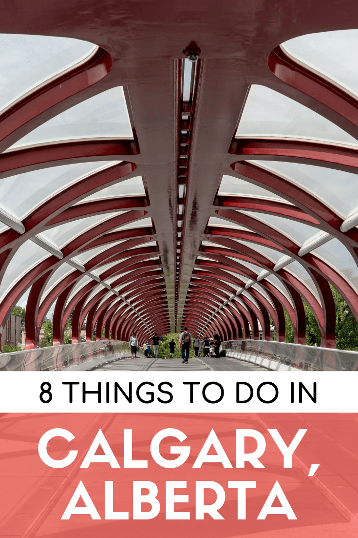 8 things to do in Calgary in summer