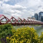8 of the Best Things to Do in Calgary in Summer
