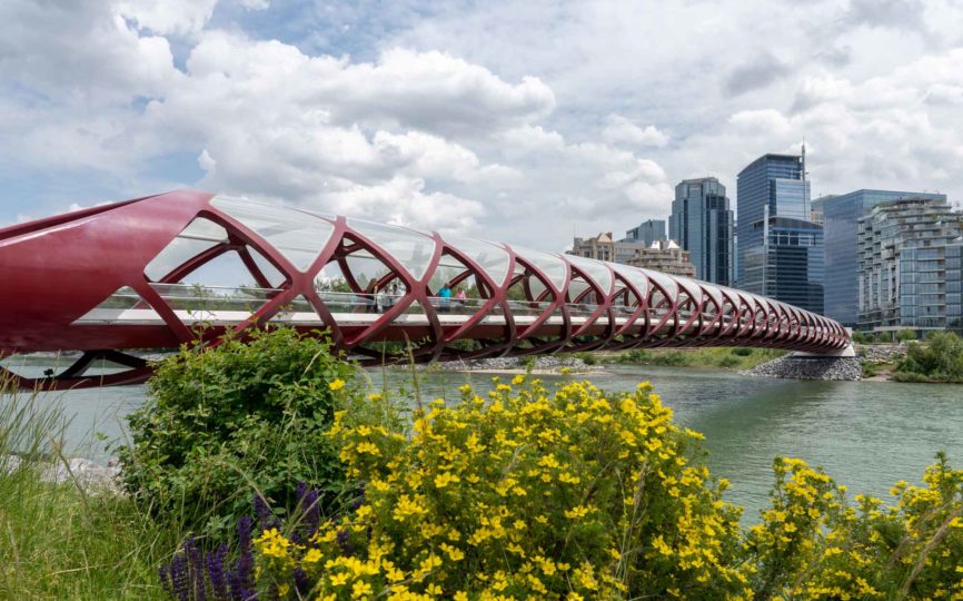 8 of the Best Things to Do in Calgary in Summer