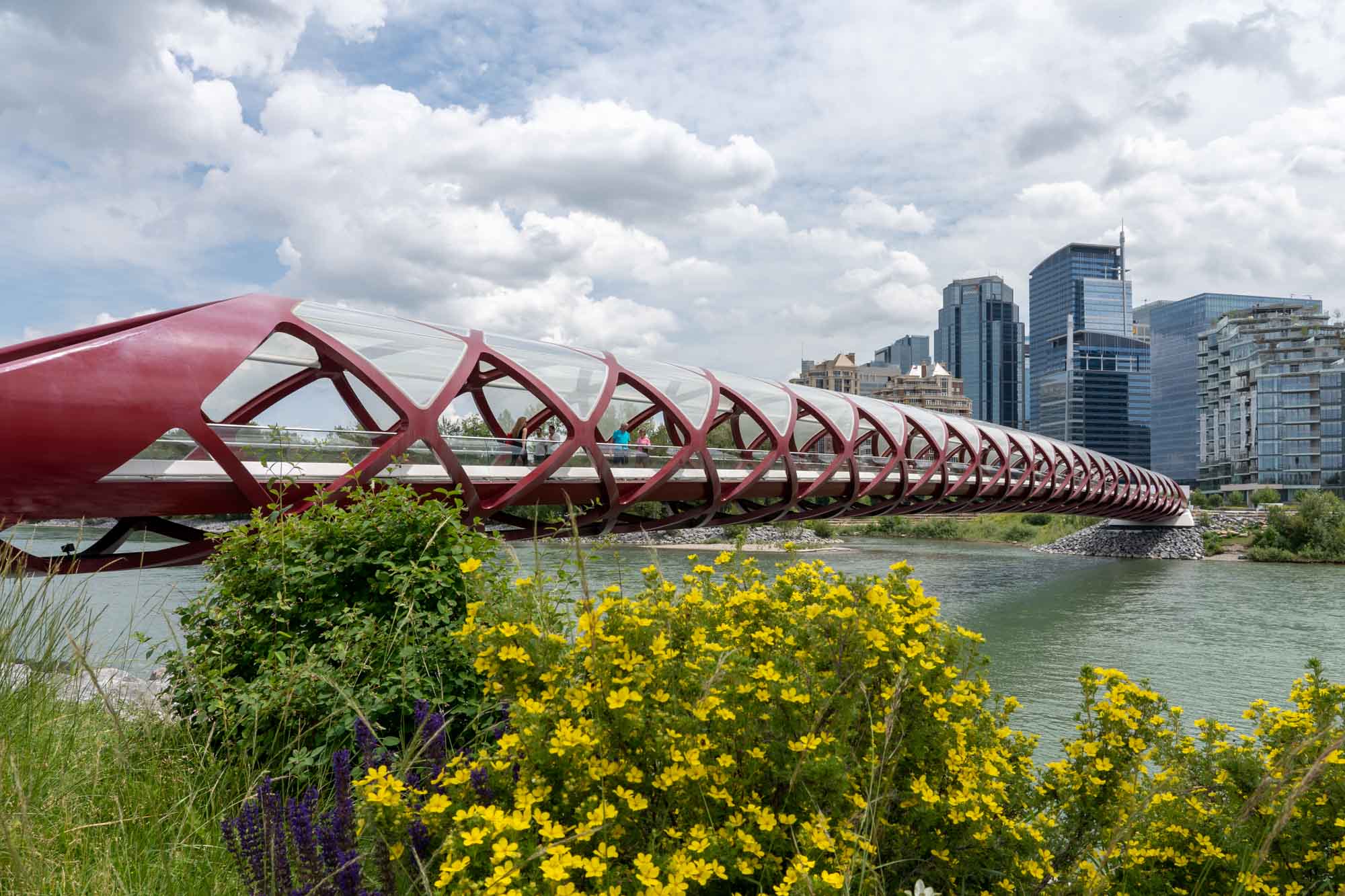 Peace Bridge in Calgary