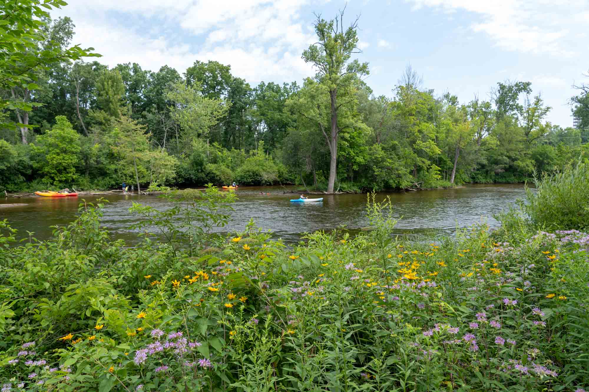 Nichols Arboretum in Ann Arbor