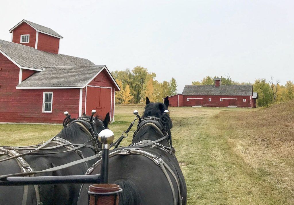 Wagon ride at Bar U Ranch National Historic Site