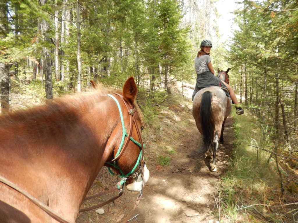 Horse riding in Jasper National Park