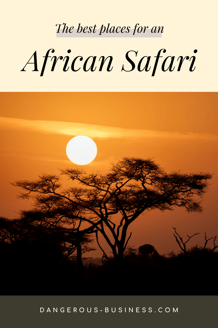 The best places to go on an African safari