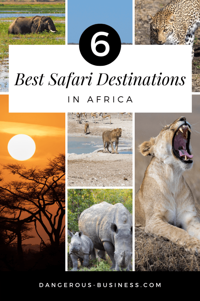 The best safari destinations in Africa