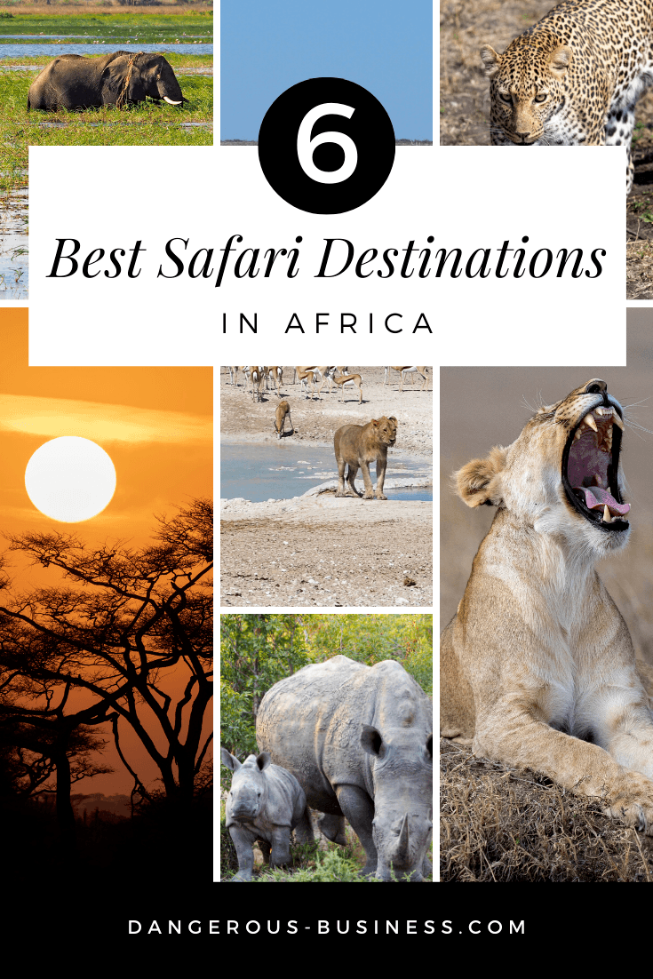 Best safari destinations in Africa