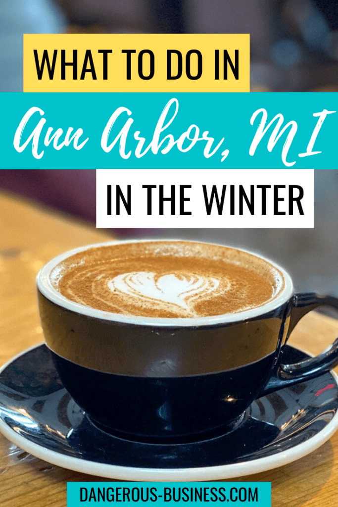What to do in Ann Arbor, Michigan in winter