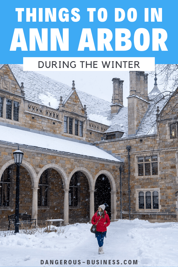 9 things to do in Ann Arbor in winter