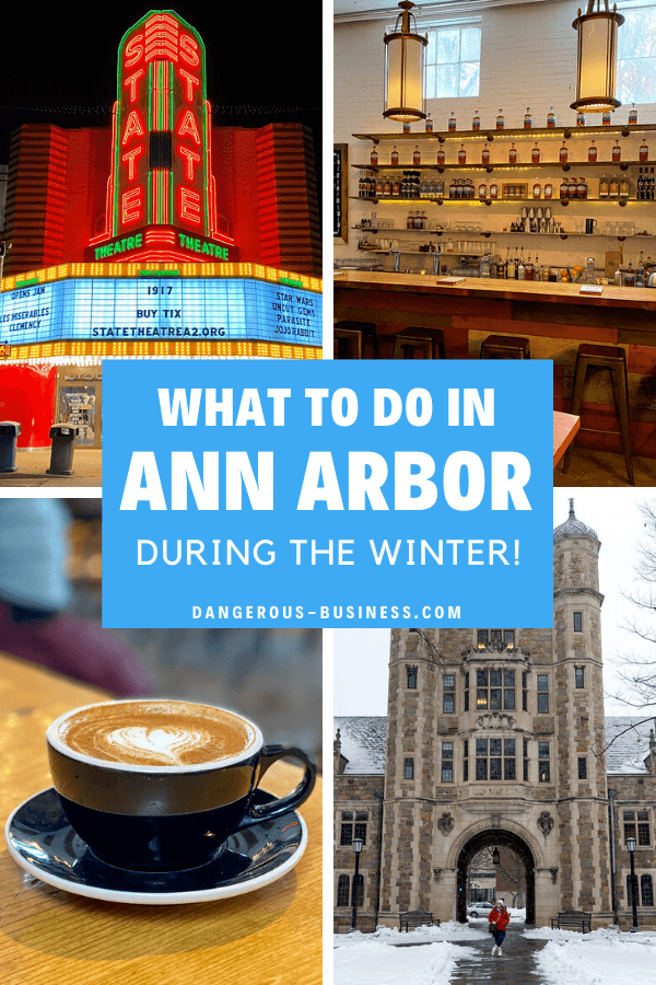 Ann Arbor Michigan In Winter