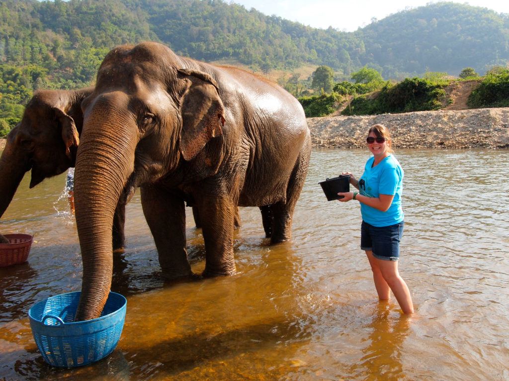 Volunteering at Elephant Nature Park