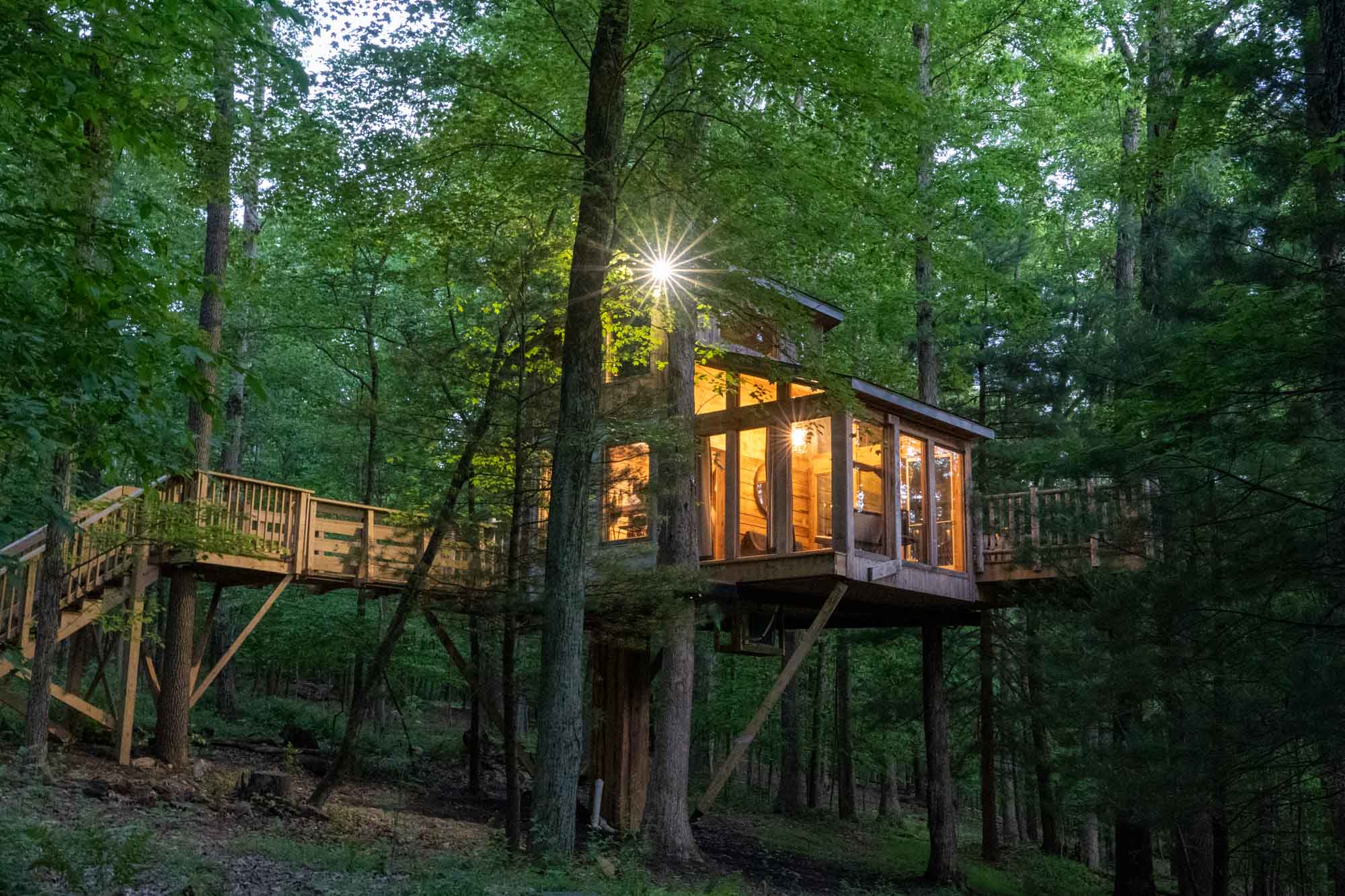 Mohicans Treehouse