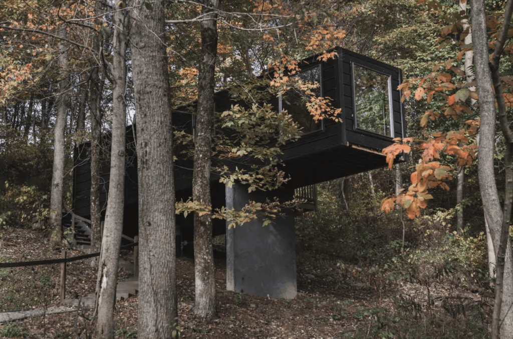 The Box Treehouse