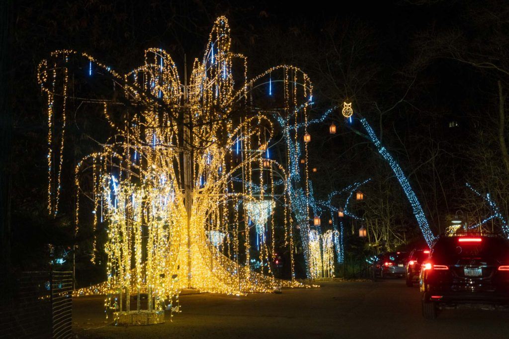 Cleveland Zoo Wild Winter Lights