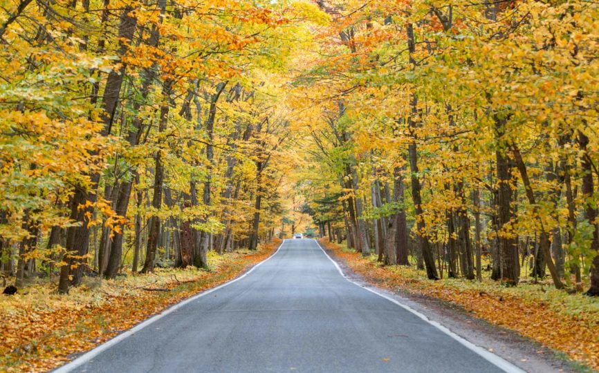 The Perfect 10-Day Michigan Road Trip Itinerary in Fall